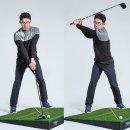 드라이버독 이미지