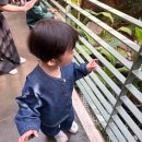 유니스아이 | 안산 아이와 가볼 만한 곳 🌿 사진 맛집 유니스의 정원
