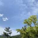 법인예손농원