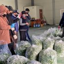 하동농협적량지점 이미지