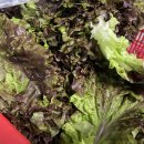 가평사과나무캠핑장 이미지