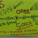 블링래쉬 네이버블로그
