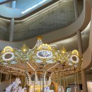 몽글몽글PET | 포항 | 회전목마가 있는, 영일대 오션뷰 감성 카페 오브레멘