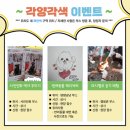 순천 대학로 축제 이미지