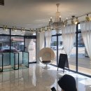 커들리 독 이미지