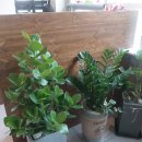 화양치과의원 이미지