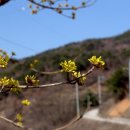 금당농장 이미지