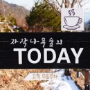 자작나무숲의투데이
