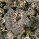 봉암식당 이미지