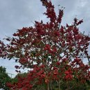 후산리 마을회관 이미지