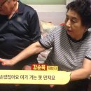 강순옥 농장 네이버블로그