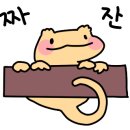 디마트 이미지