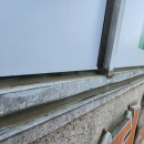 삼호프라자 이미지