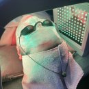 일일구환경 | 남돈내산) 강남 문제성 성인 여드름압출 보름달뷰티 신논현역 피부 관리