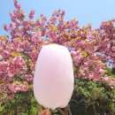 나비공원　 이미지