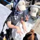 조선라이즈 이미지