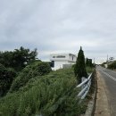 궁항마을회관 Daum카페