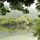 밀양댐생태공원 이미지