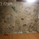 LEO GYM 이미지