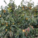 해암농장 이미지