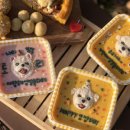 메이드알콩 이미지