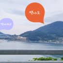 하얀고래 in 백야 이미지