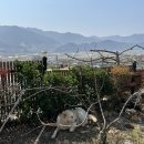 파도길 65 이미지