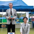 황제애견 이미지