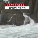 6호태풍 '카눈' 다음 주 동해 북상, 기상청 공식 발표 이미지
