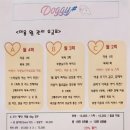 쭈야샾 이미지