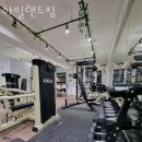 아일랜드짐 이미지