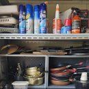 그린좌대낚시터 이미지