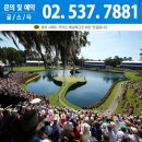 프로발리볼센터 | 미국 써머 캠프 IJGA 골프 아카데미 엑티비티 일정~!