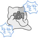 선커피앤플라워