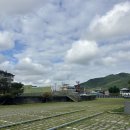 엠컨벤션뷔페 이미지