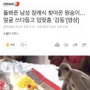 돌봐준 남성 장례식 찾아온 원숭이…얼굴 쓰다듬고 입맞춤 '감동'[영상] 이미지