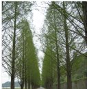 광천공용버스터미널 이미지