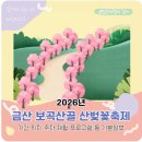 금산농장 2 | 2026 금산보곡산골 산벚꽃축제 기본정보 줍깅 금 1돈 즐길거리