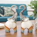 코끼리헤어 이미지