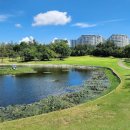 티엠호텔(TM Hotel) | 바닷바람 맞으며 스윙 한 판, 베트남붕따우골프 라운딩 리얼 후기