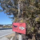 게르메스 이미지