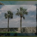 팔달대교 야경 이미지