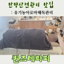 힐스테이트 2차(19 신규) | [범계 바디관리] 퀀즈테라피, 유기농 아로마 해독관리받은 후기