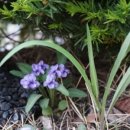 덕목보건진료소 이미지