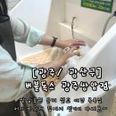 해피독스 애견샵 | 광주첨단 애견목욕 가능한 대형 셀프목욕샵, ‘버블독스’ 후기