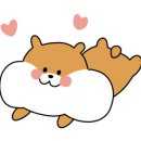 포항중앙여자고등학교 이미지