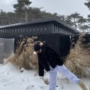자발적 고립 | 홍성 자발적고립 충남 독채 풀빌라 자쿠지 수영장 숙소후기