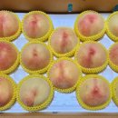 반디농원 이미지