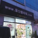 울산 개업 화분 꽃다발 신정동 울산플라워즈