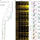 Re: 항생제 내성균의 중요기전.. 유출펌프 단백질의 진화...2020 네이처... 이미지